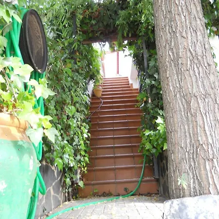 Barrio Pensión *
